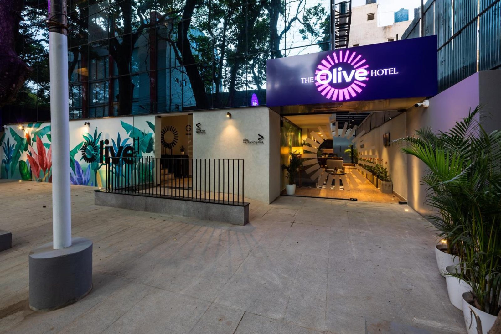 Olive Hotel Indiranagar 100Ft Road by Embassy Group — photo 2